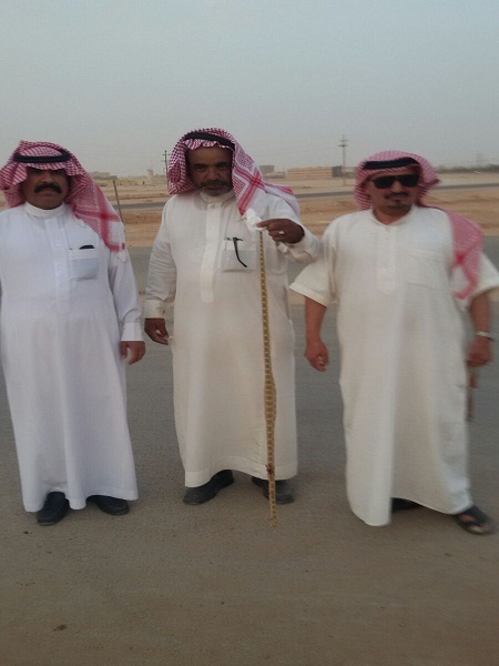 ����� ���� ��� ����� ����� ����