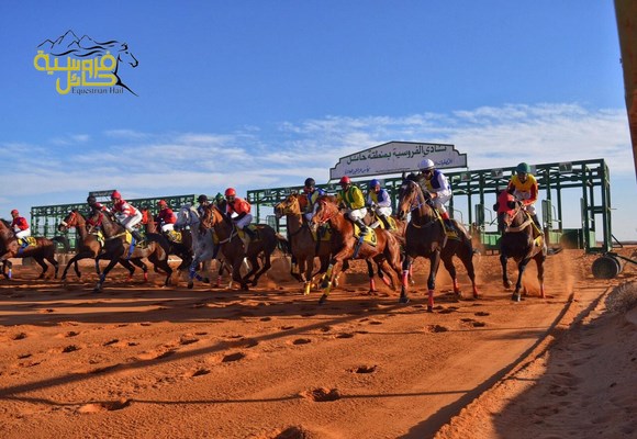 نتائج الحفل السابع بفروسية حائل ١٤٣٨هـ دعم الأمير سلطان الكبير وكأس المورقي