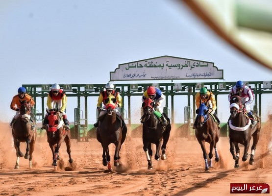 نتائج الحفل العشرون بفروسية حائل ١٤٣٨هـ على دعم نزار ابوالجدايل