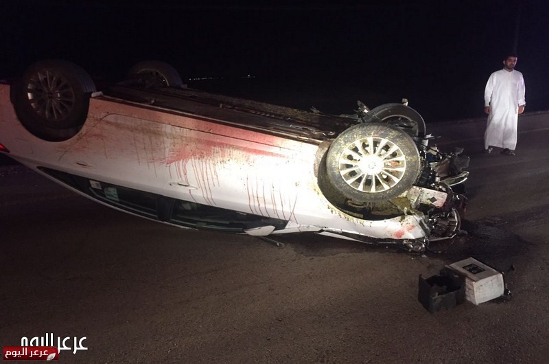 جمل سائب على طريق جديدة عرعر يتسبب بحادث مروري مروع