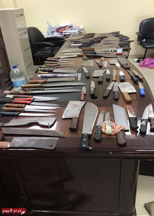 امانة الشمالية تضبط عدداً من الآلات الحادة التي تستخدم في الذبح العشوائي من قبل المخالفين