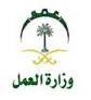 وزارة العمل تبدأ إصدار تأشيرات العمالة المنزلية من فروعها بالمناطق