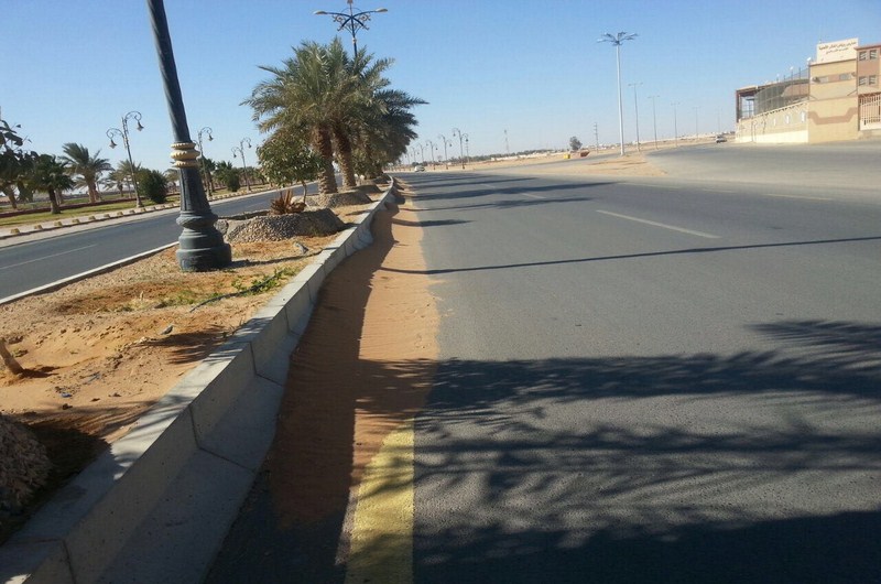 أمين الشمالية يوجه إدارة النظافة بتكثيف اعمالها