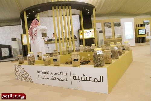 عيناتٍ من النباتات الخاصة ببيئة منطقة الحدود الشمالية في جناح الجنادرية