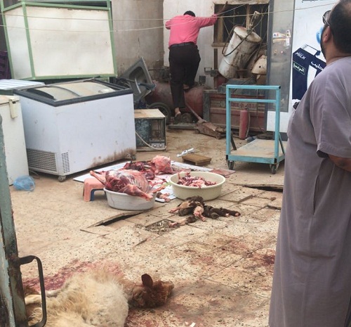 بلاغ مواطن يكشف لأمانة الشمالية مسلخ عشوائي