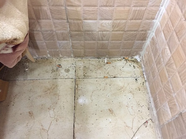 بلدية العويقيلة تضبط محل