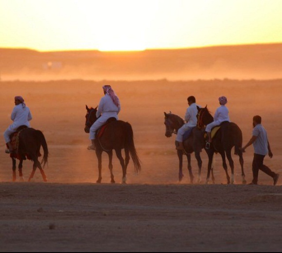 إنهاء الإستعدادات لسباق الخيل الأول المنتظر بمدينة عرعر