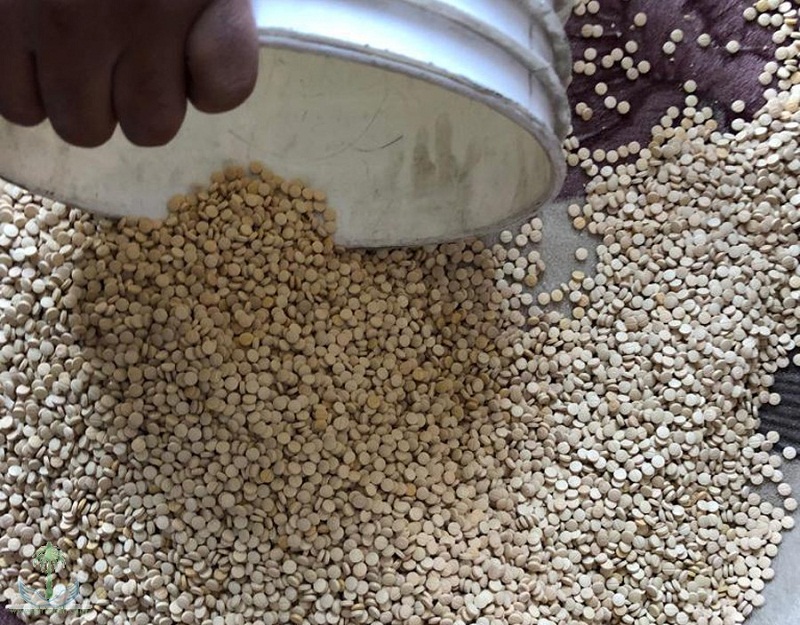 إحباط تهريب قرابة نصف مليون حبة مخدرة كبتاجون