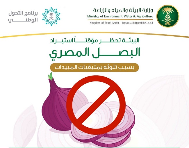“البيئة” تحظر مؤقتاً استيراد البصل المصري بسبب تلوثه بالمبيدات