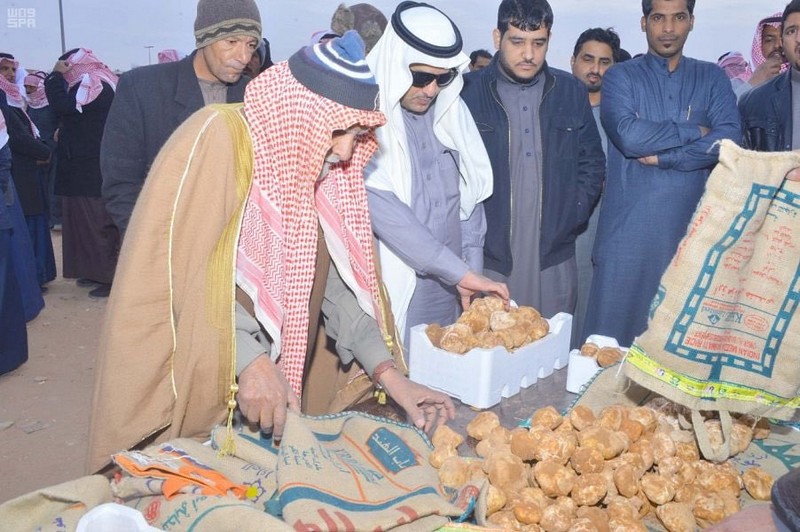 فقع عرعر .. وفرة إنتاج وأسعار في متناول الجميع