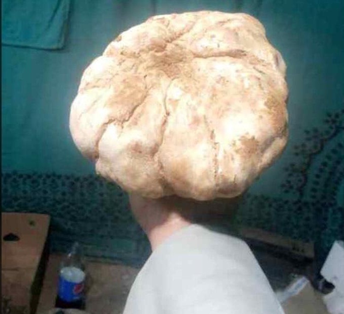 عرعر.. مواطن هاوي يعثر عن نبتة الكمأ بحجم كبير.. وهكذا باعها