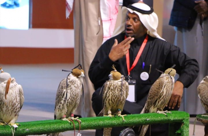 الدوسري يحصد جائزة مزاين الصقور بطريف