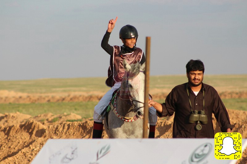 بالصور تغطية عرعر اليوم لكرنفال الفروسية الثاني بعرعر