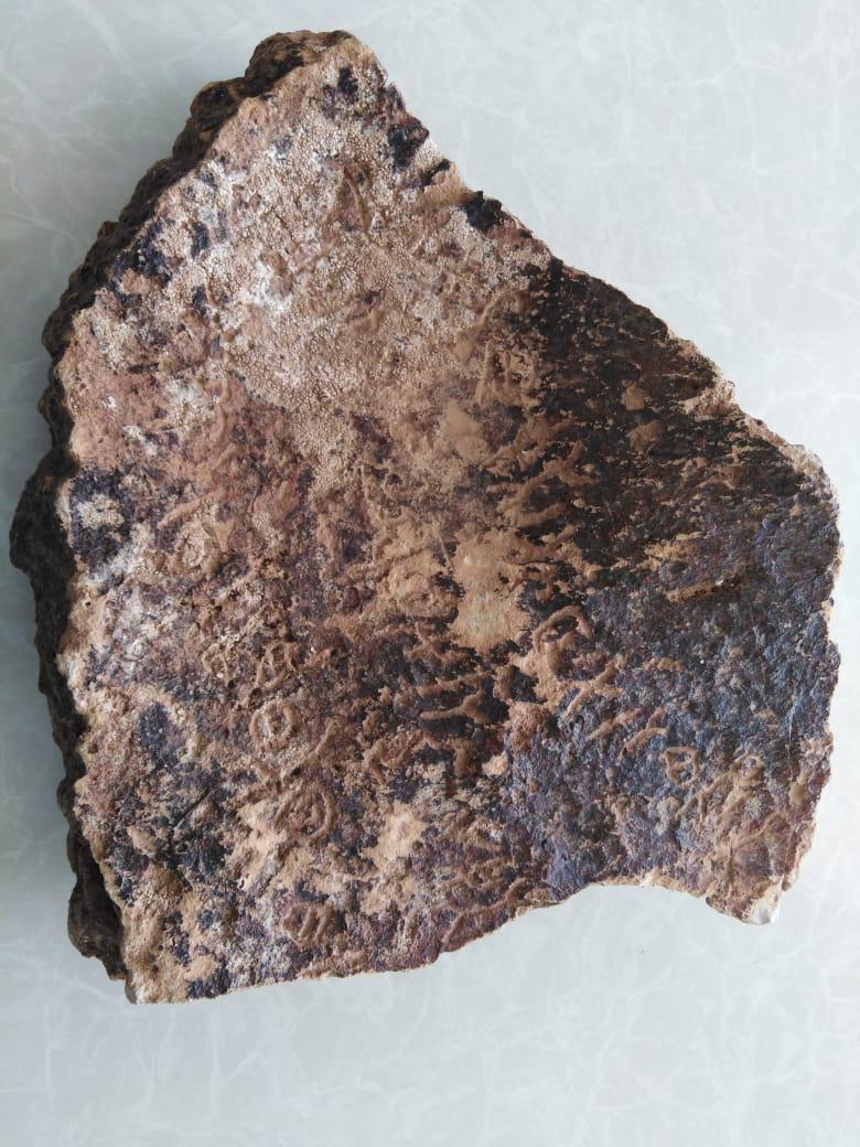 مواطنان بعرعر يسلمان أحجار أثرية لفرع السياحة