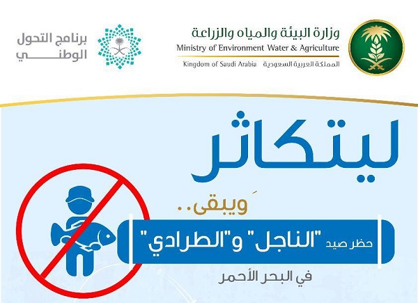 «البيئة» تحظر صيد