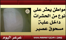 مواطن يعثر على نوع من الحشرات داخل علبة مسحوق عصير