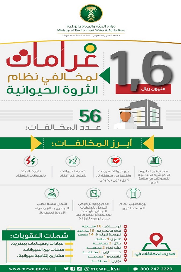 “البيئة” تغرم مخالفي أنظمة الثروة الحيوانية بـ 1.6 مليون ريال