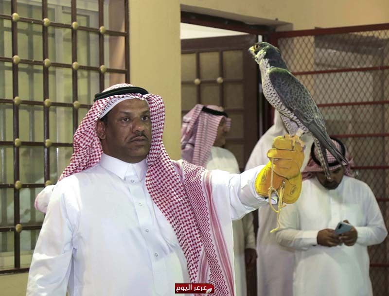 بيع صقر ( شاهين ) بمبلغ أربع وعشرين ألف ريال بمزاد السلطان للصقور بعرعر