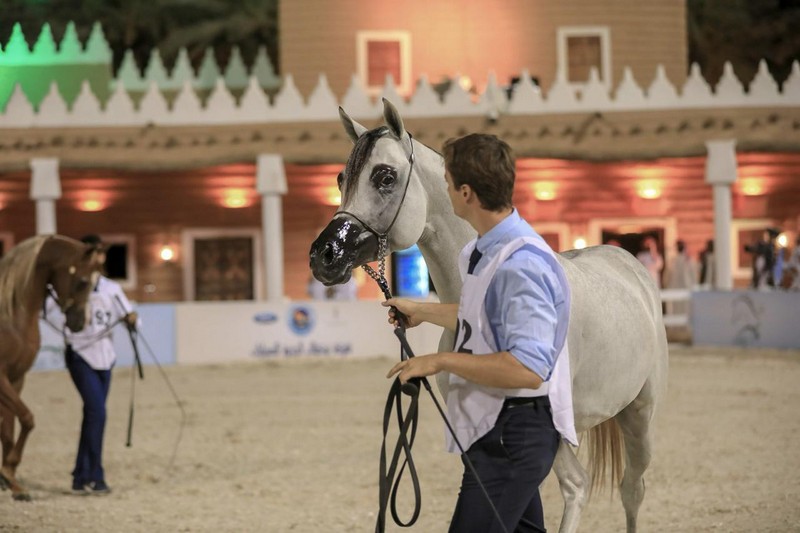 اليوم ... اختتام بطولة حائل الأولى لجمال الخيل العربية الأصيلة