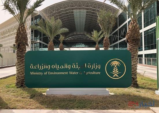 وزارة البيئة تُعلن عن توفر وظائف على سُلم رواتب الموظفين
