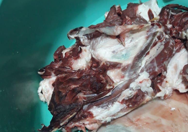 بلدية شرق عرعر تكثف جولاتها الرقابية وتضبط عدة مخالفات