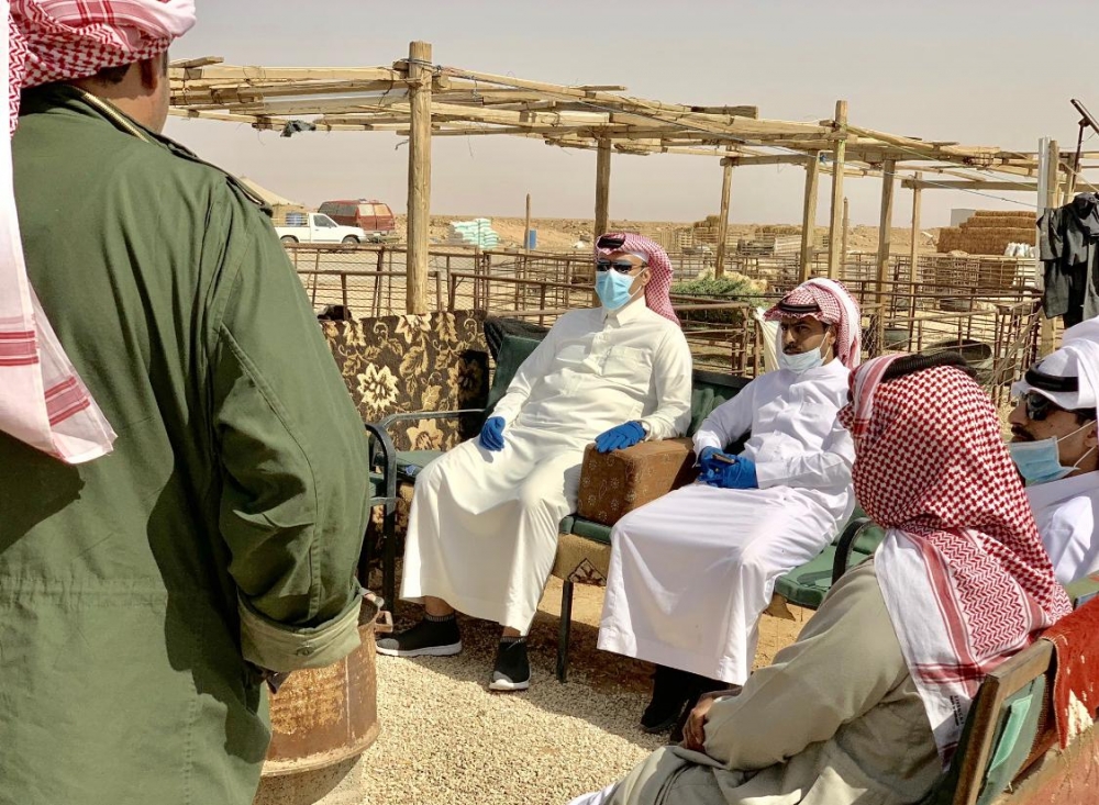 تقسيم أوقات البيع في حراج الأغنام بروضة هباس