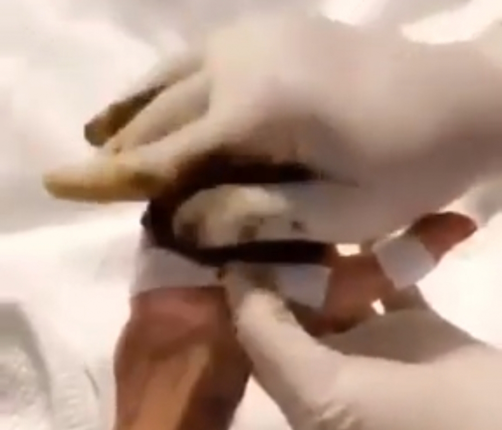 ممرضة سعودية تضع الحناء لمريضة مسنة في أول يوم عيد