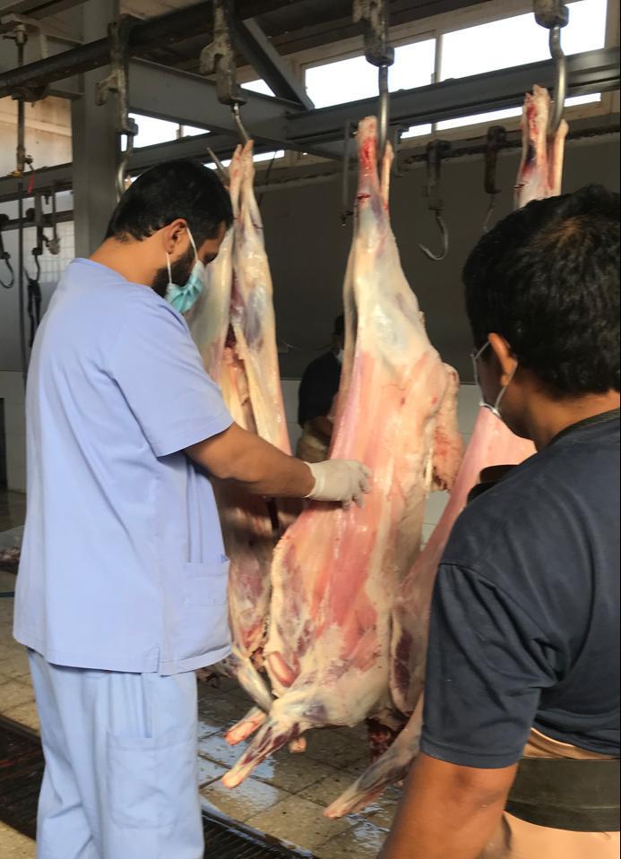 بلدية العويقيلة تتابع تطبيق الاجراءات الاحترازية وتضبط اكثر من 50 كيلو من الحلويات منتهية الصلاحية