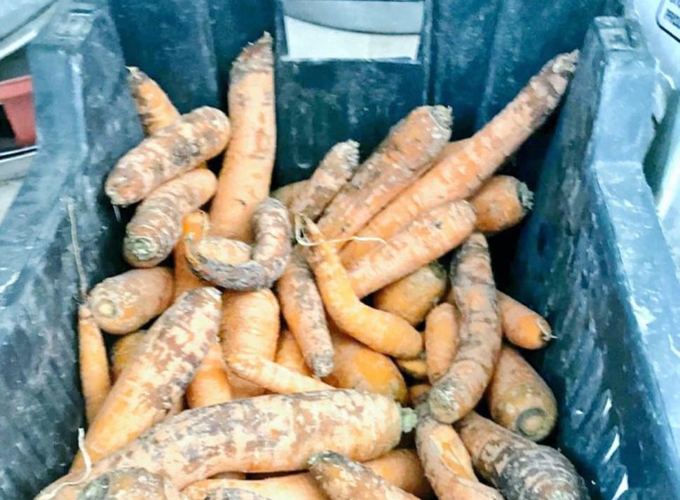 بلدية غرب عرعر تواصل جولاتها الرقابية لحملة ( غذائكم أمانة )