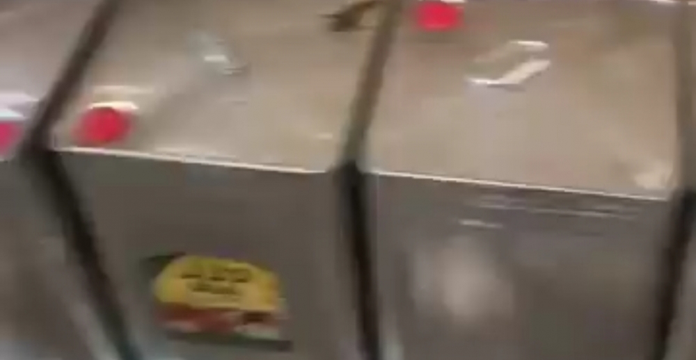 بلدية شرق عرعر تواصل جولاتها الرقابية وتصادر 350 كجم من المواد الغذائية