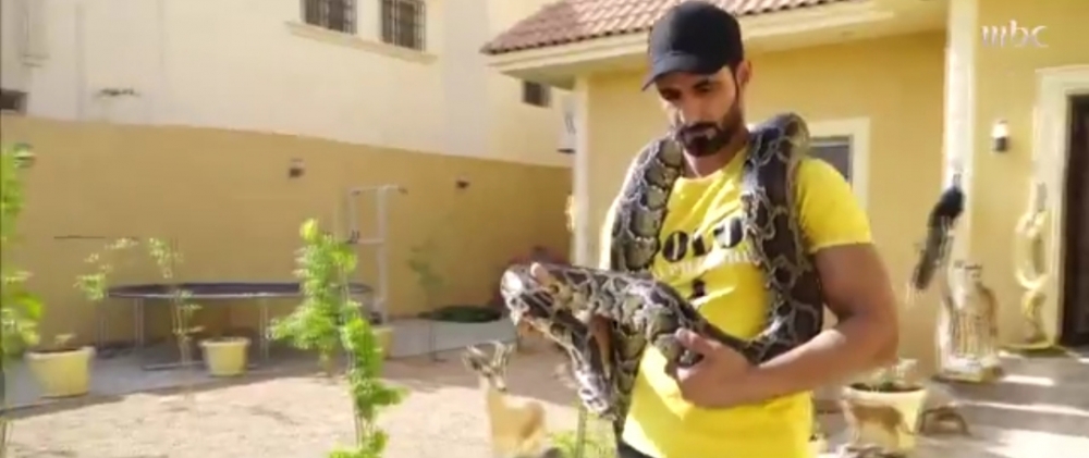 مواطن بعرعر يروي تجربته في ترويض الحيوانات المفترسة .. وأخطر إصابة تعرّض لها