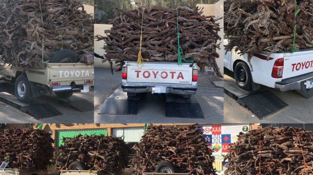 القوات الخاصة للأمن البيئي : عقوبة مخالفة المتاجرة بالحطب أوالفحم تصل إلى 50 ألف ريال لكل طن