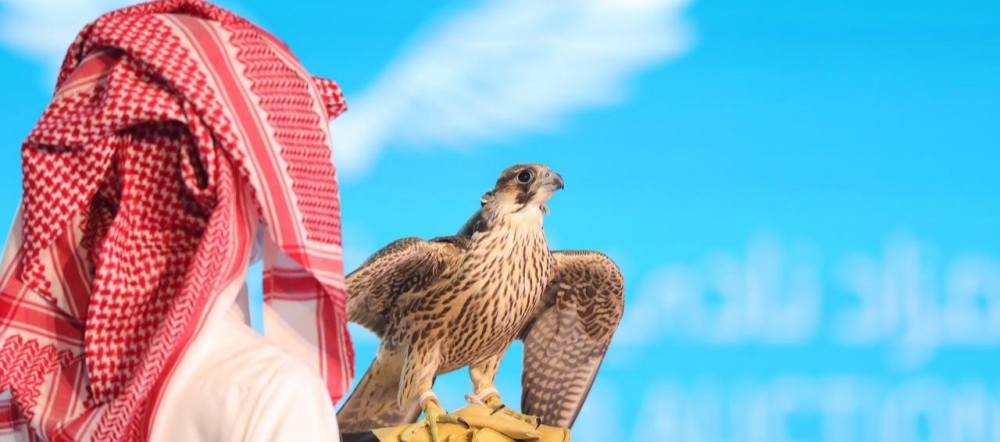 بيع 7 صقور بمهرجان الملك عبدالعزيز بـ 846 ألف ريال