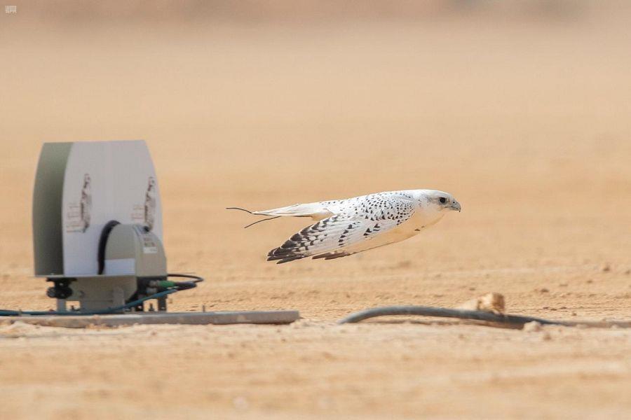 إدخال تقنية