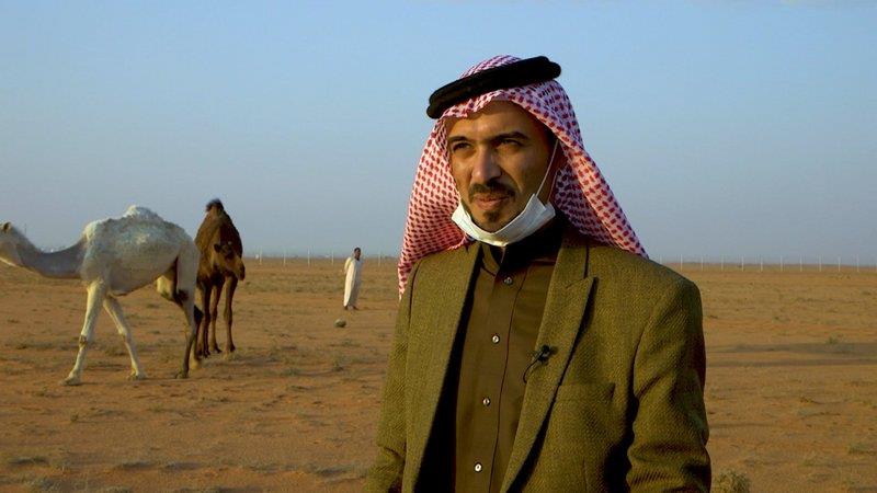 الإبل العراقية تُسجل مشاركة في منافسات مهرجان الملك عبدالعزيز