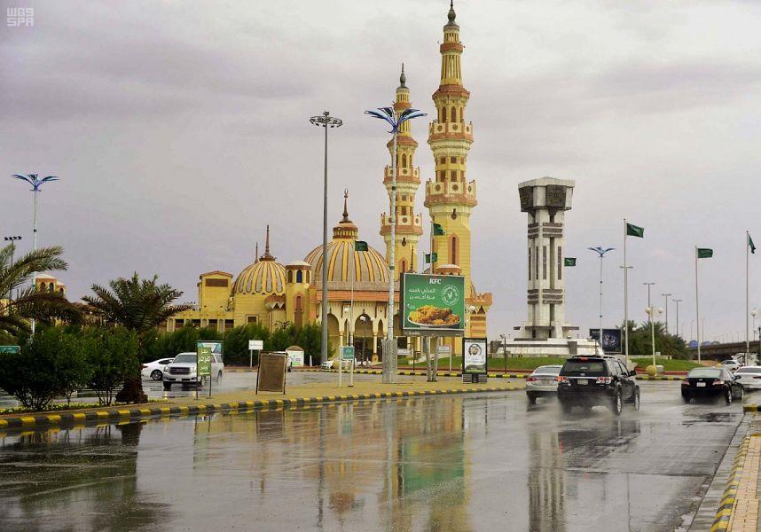 فيديو.. الزعاق