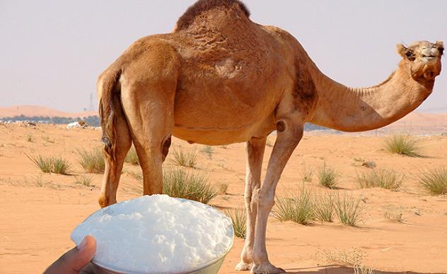 قد تصل إلى الإعاقة والوفاة..