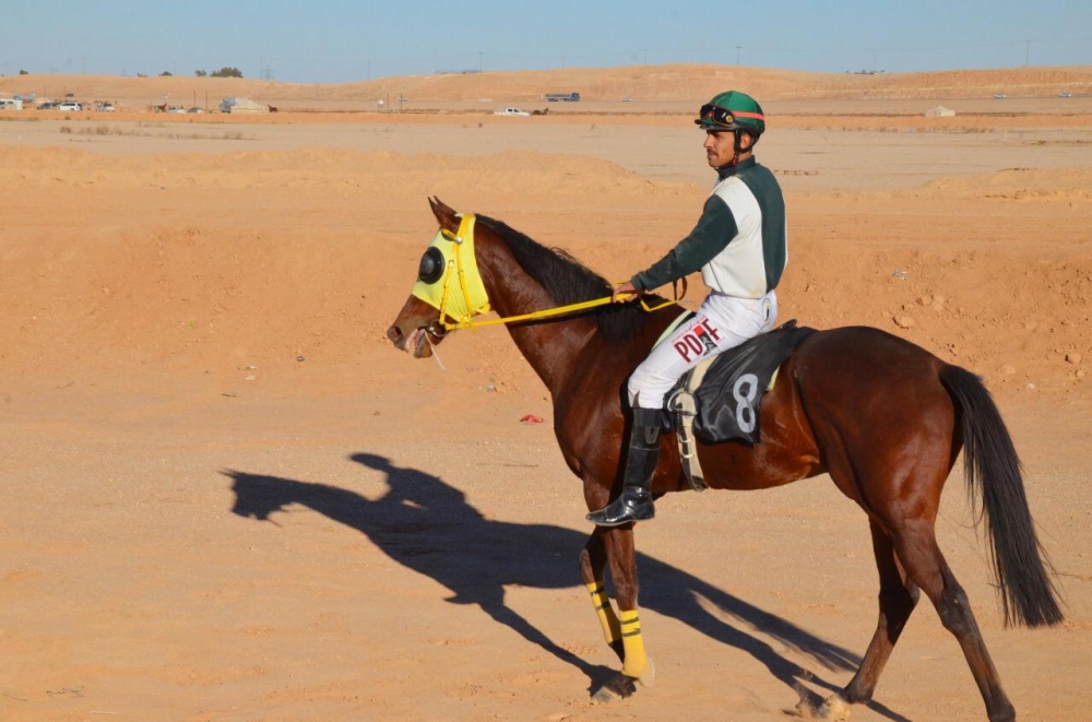 لجنة التنمية الاجتماعية بعرعر تنظم سباقاً للخيل