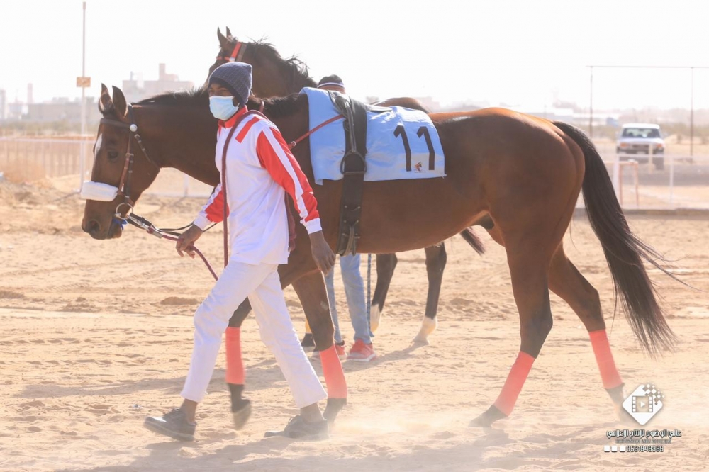 فروسية القريات تقيم سباقها التاسع لموسم 1442هـ واستمرار تألق (تجتاح) للمالك عايد شاهد العنزي