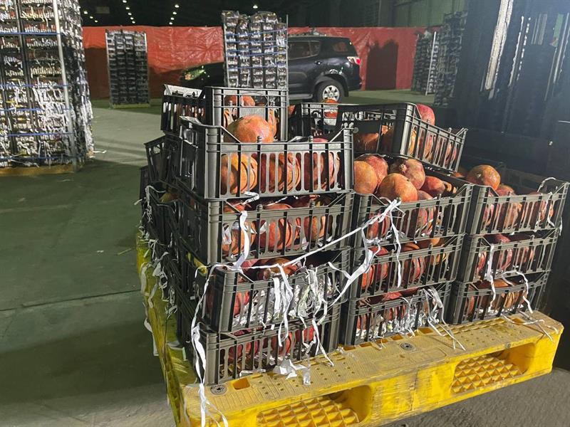 متحدث مكافحة المخدرات يعلق على قرار