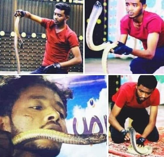 بعد 11 سنة معاً .. كوبرا تنهي حياة مدربها السوداني بلدغة سامة بعسير