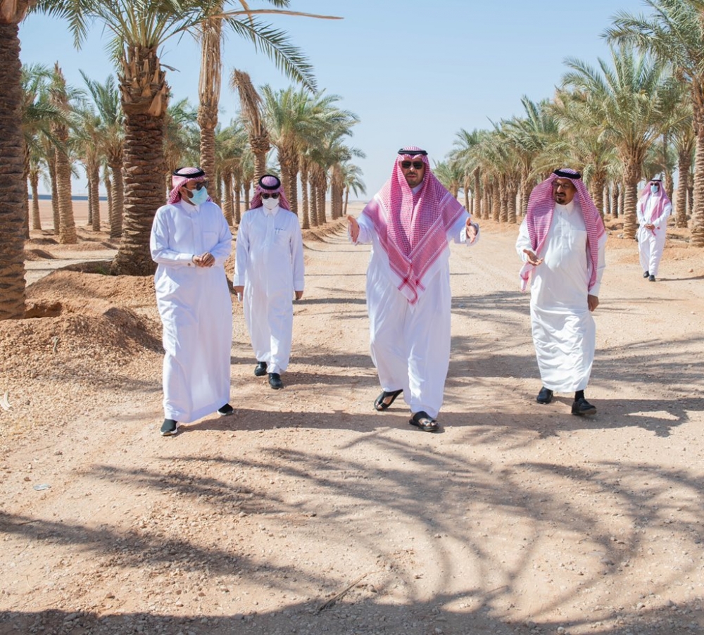 سمو أمير الحدود الشمالية يتفقد قريتَي ابن سعيد وابن بكر