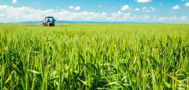 الحصيني : اليوم بداية ثاني منازل