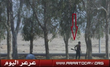 في رفحاء يمارسون الصيد بالبنادق داخل المتنزهات !! والأهالي يناشدون المسئولين نحن في خطر ( صور )