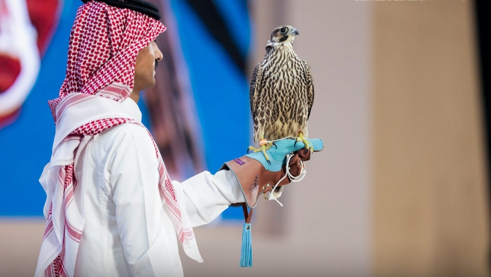 بيع أول صقر بـ 135 ألف ريال في باكورة ليالي مزاد نادي الصقور السعودي