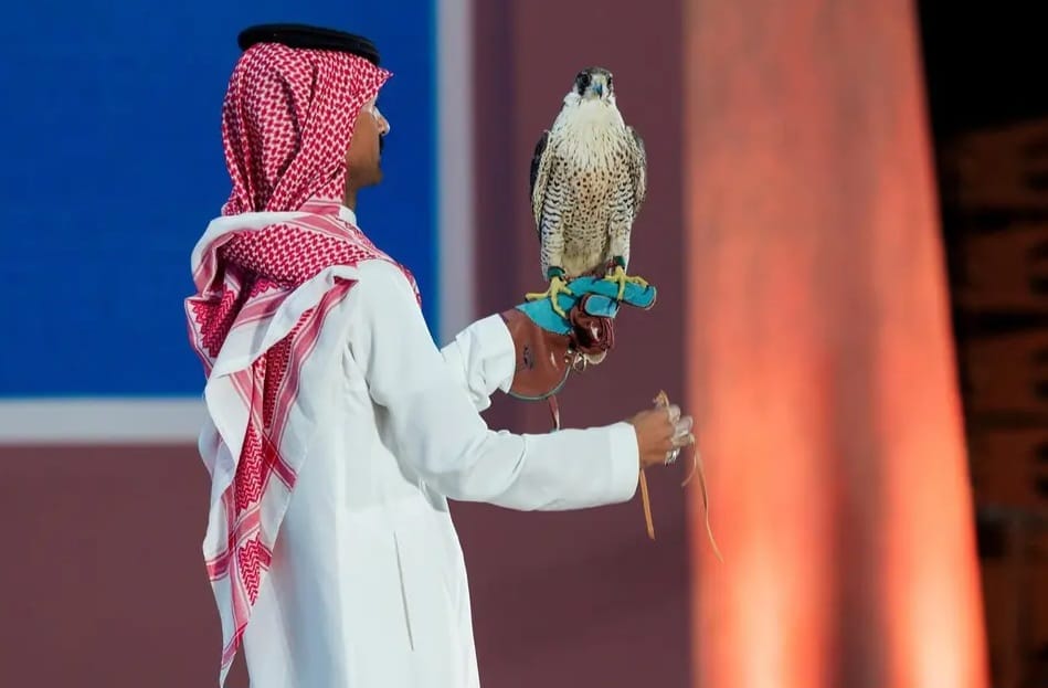 مبيعات مزاد نادي الصقور السعودي تقارب المليون ريال في ختام الليلة السادسة