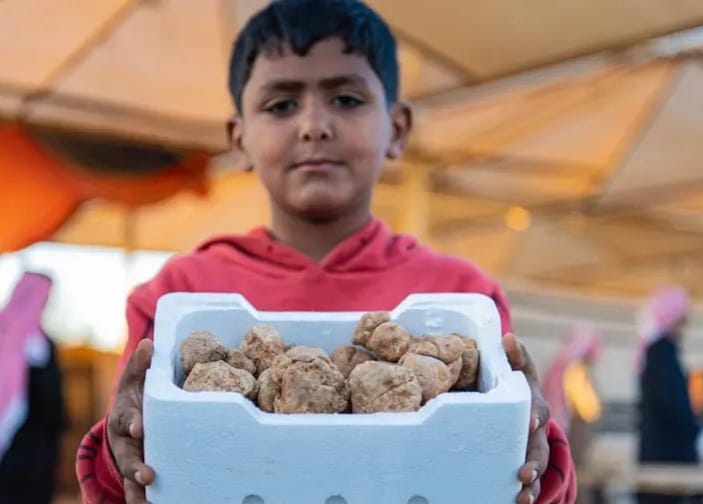 إقبالٌ مبكرٌ وكميات متوسطة في سوق الفقع بعرعر