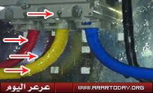 الابتدائية الثانية للبنات بالعويقيلة : صحيفة الوئام تنشر خبر المدرسة ( تحديثات مستمرة )