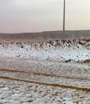 موجة باردة تؤثر على مناطق المملكة ابتداءً من مساء الجمعة وحتى الثلاثاء