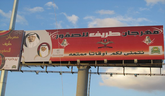 عرعر اليوم تزور مهرجان طريف للصقور مع أول أيامه وتقدم تغطية مصورة ضخمة